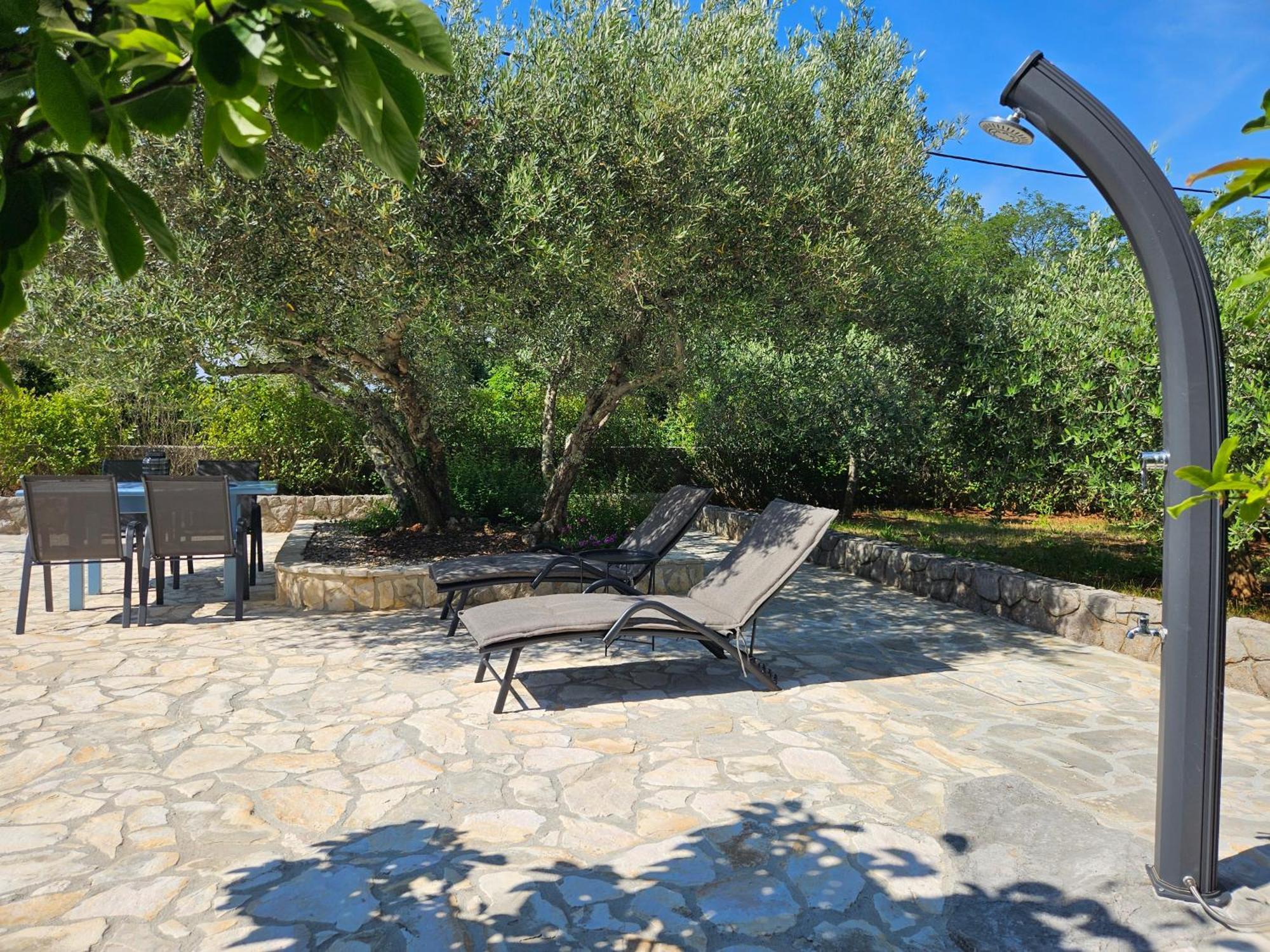 Villa Dora Bajcici Εξωτερικό φωτογραφία